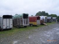 RIMG1628.jpg